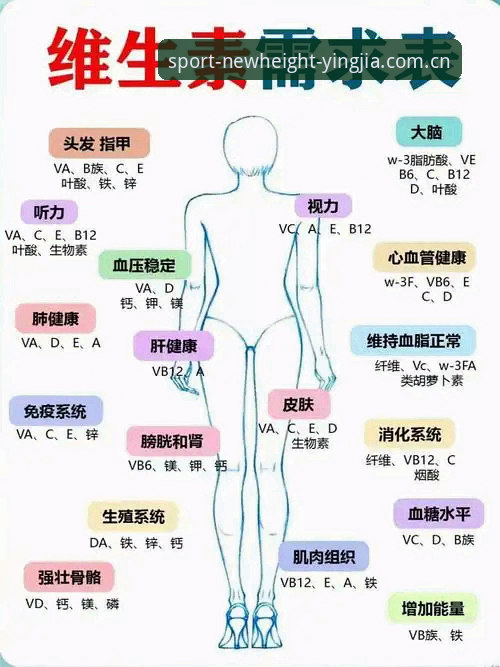 掌握2026盈嘉A8C2使用体验的关键：实用维护技巧与性能发挥指南